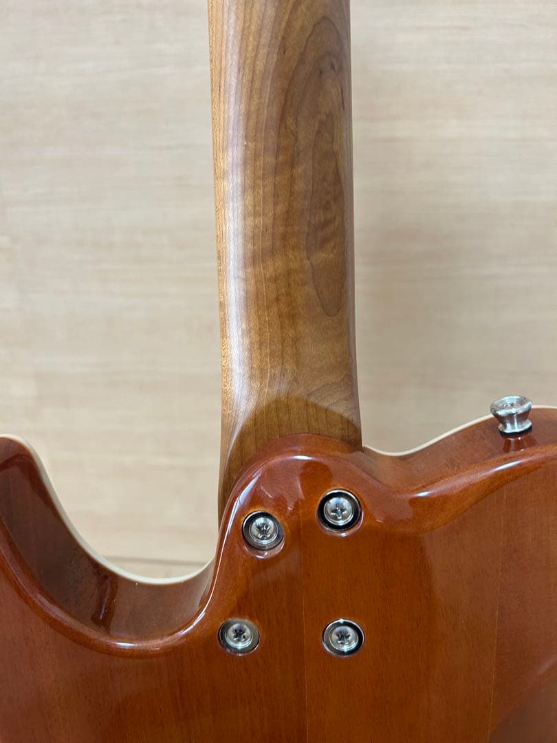 美品 TAC24AD - FMH RSM/M バッカス フレイムマホガニー