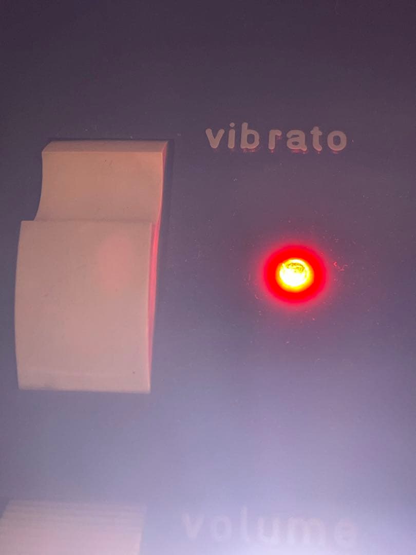 Antonelli golden organビンテージトイオルガン 37鍵盤