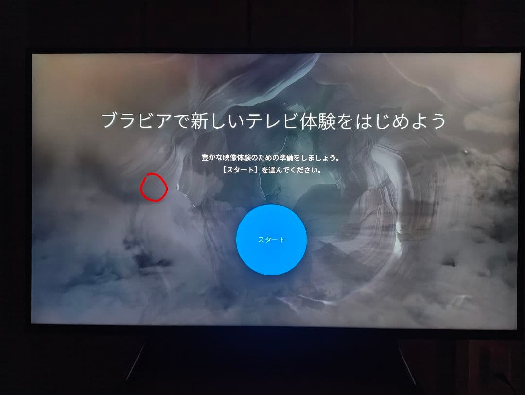 【引き取り限定】Sony Bravia 49型 ドット抜けあり
