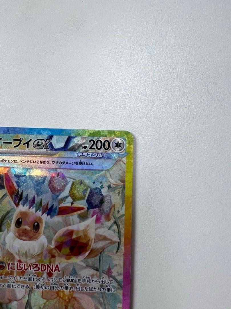イーブイSAR2枚セット