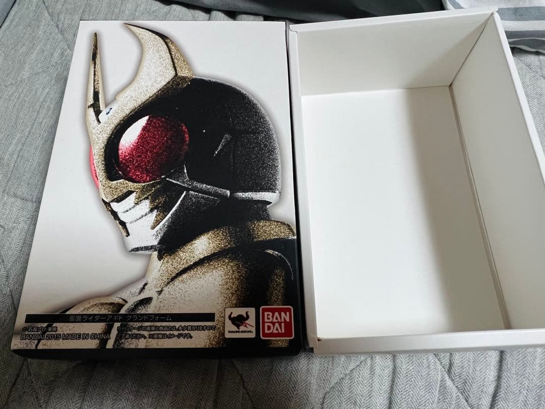 【説明必読】真骨頂 仮面ライダー アギト