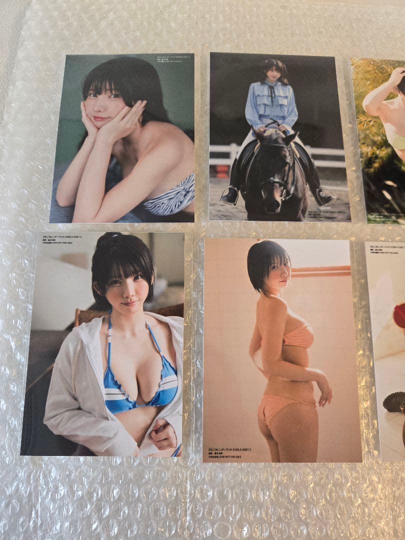 えなこ カレンダーブック 2026.4~2027.3 イベント限定 生写真8枚