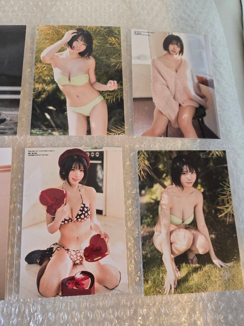 えなこ カレンダーブック 2026.4~2027.3 イベント限定 生写真8枚