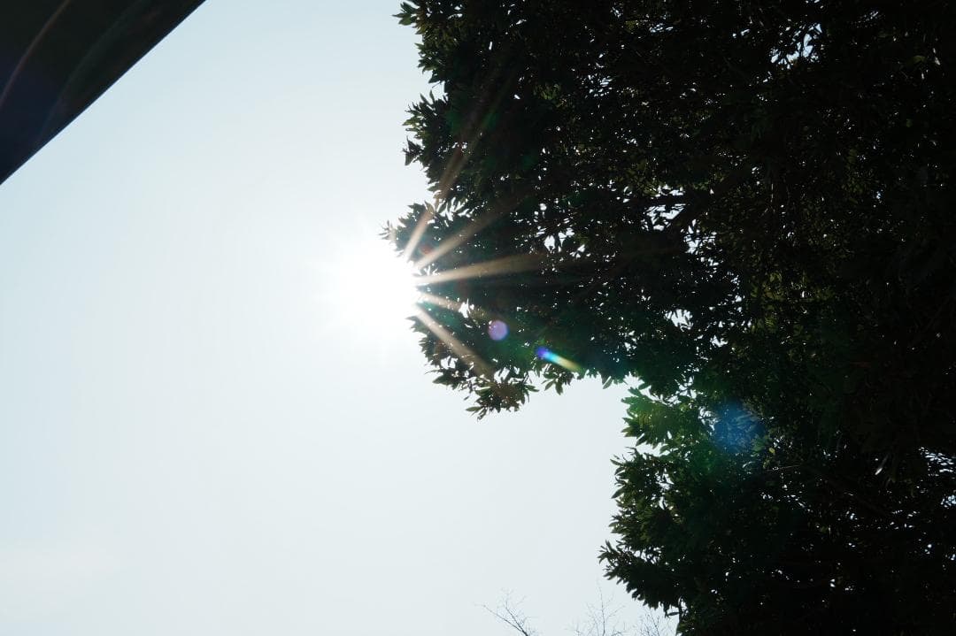 【これ1本で】SONY E18-135mm OSS 便利ズーム 812