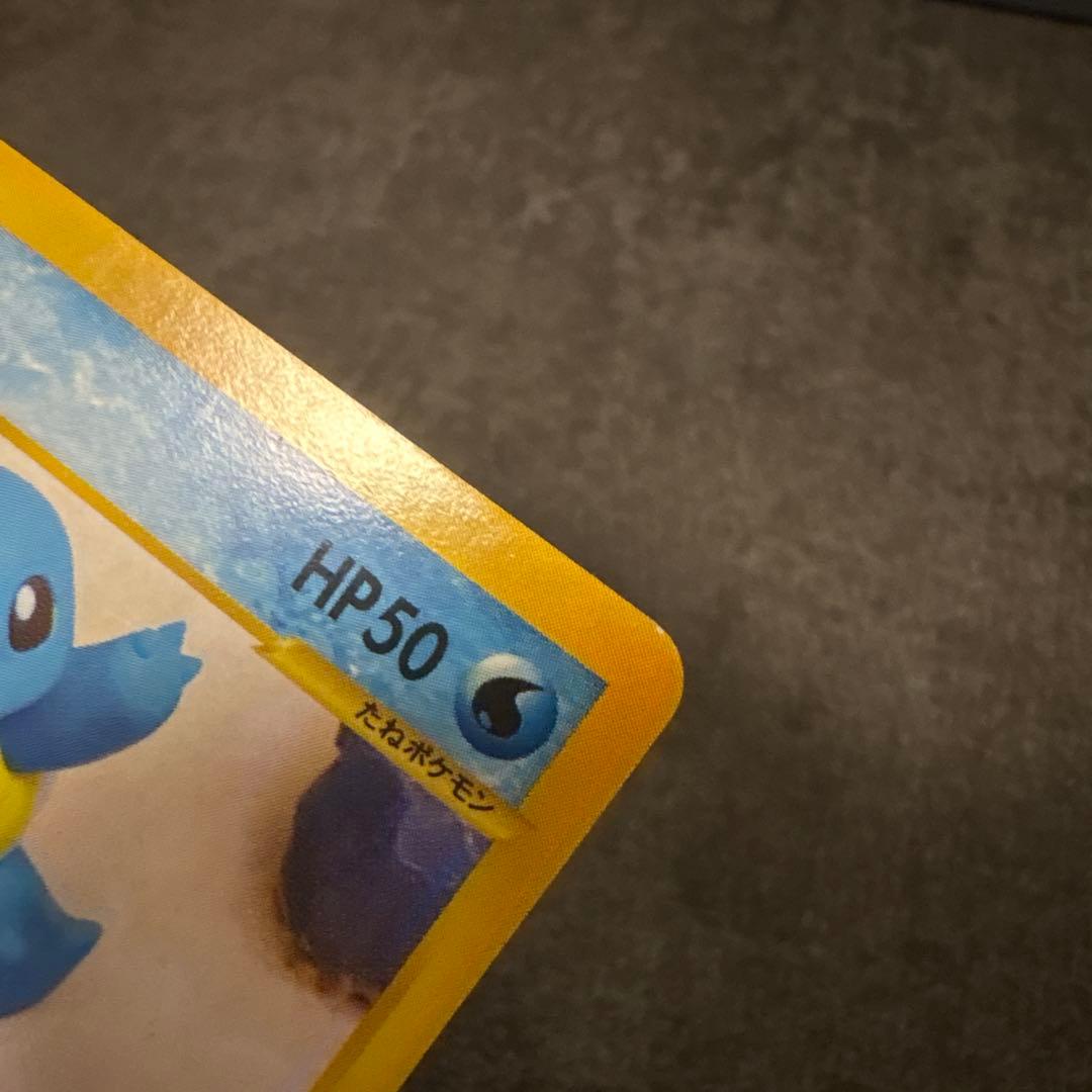 ポケモンカード e eカード ゼニガメ 017/029