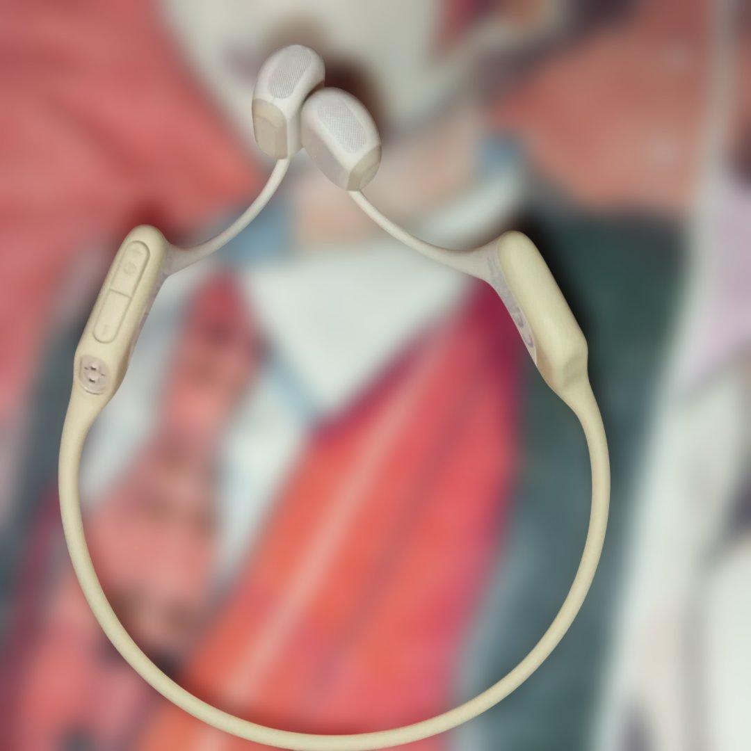 シ*ー様 【音抜群★】SHOKZ Openrun Pro S810 骨伝導イヤホ
