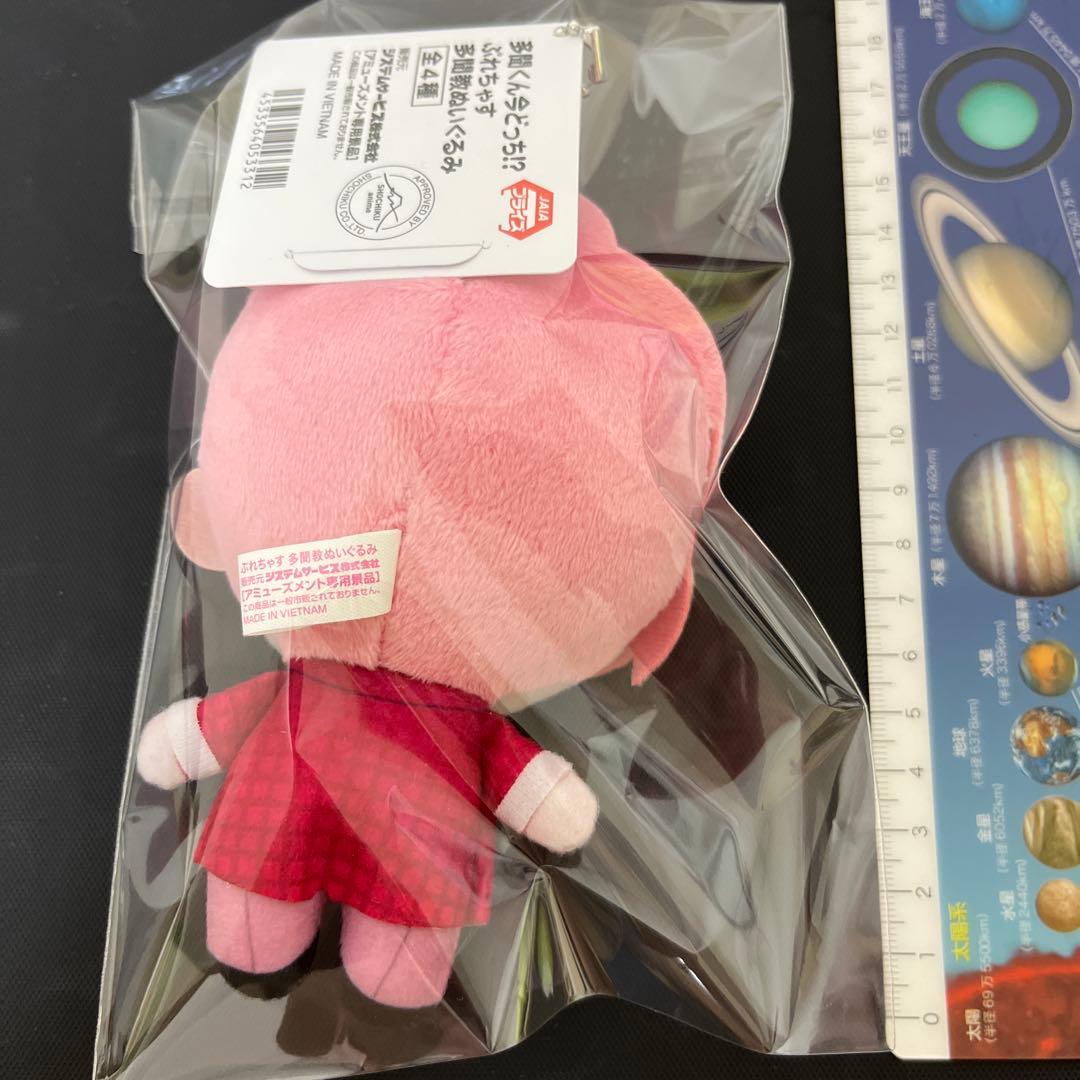 多聞くん今どっち！？ ぷれちゃす 多聞教ぬいぐるみ 福原多聞