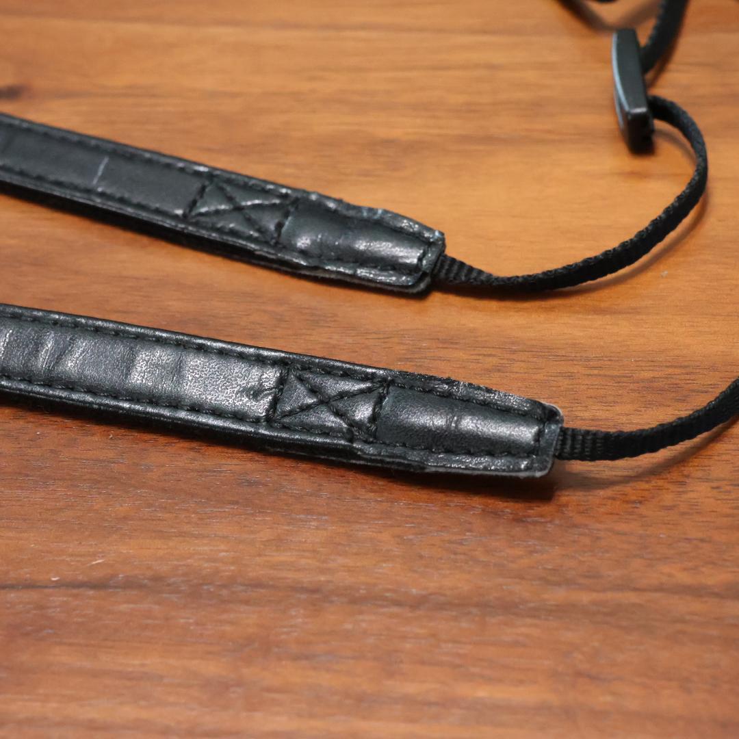 【美品】LUMIX DMC-LX9 純正ソフトケース DMW-CLX9 セット