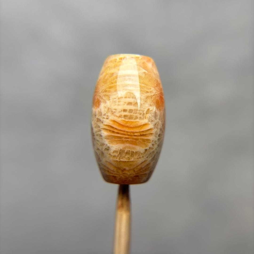 もんちゃんフォッシルコーラル　天珠　1-317