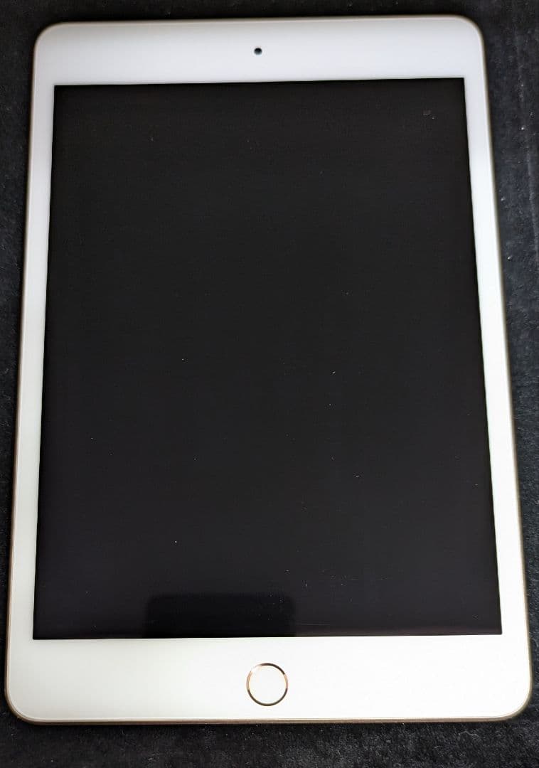 Apple iPad mini 第5世代ゴールド64G 本体