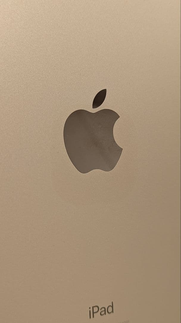 Apple iPad mini 第5世代ゴールド64G 本体