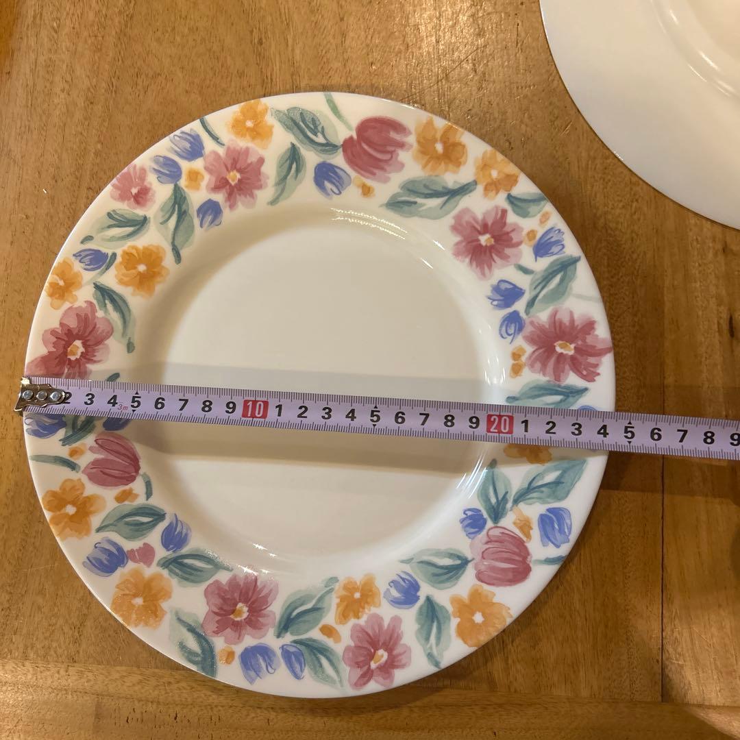 Vintage ARCOPAL Floride France Salad 6枚