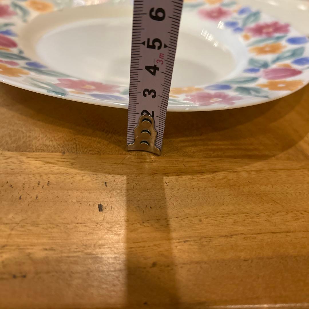 Vintage ARCOPAL Floride France Salad 6枚