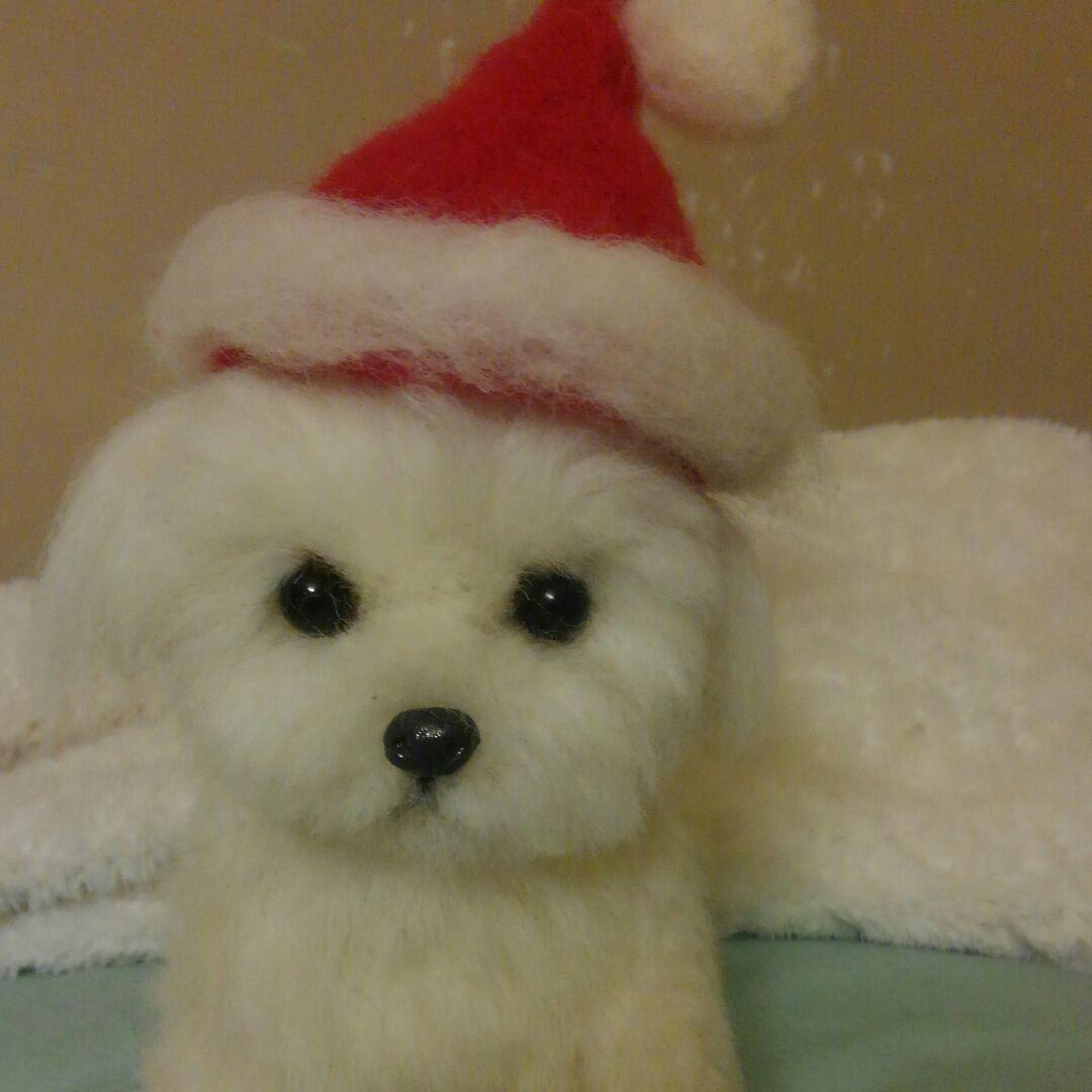 羊毛フェルトマルチーズ参考