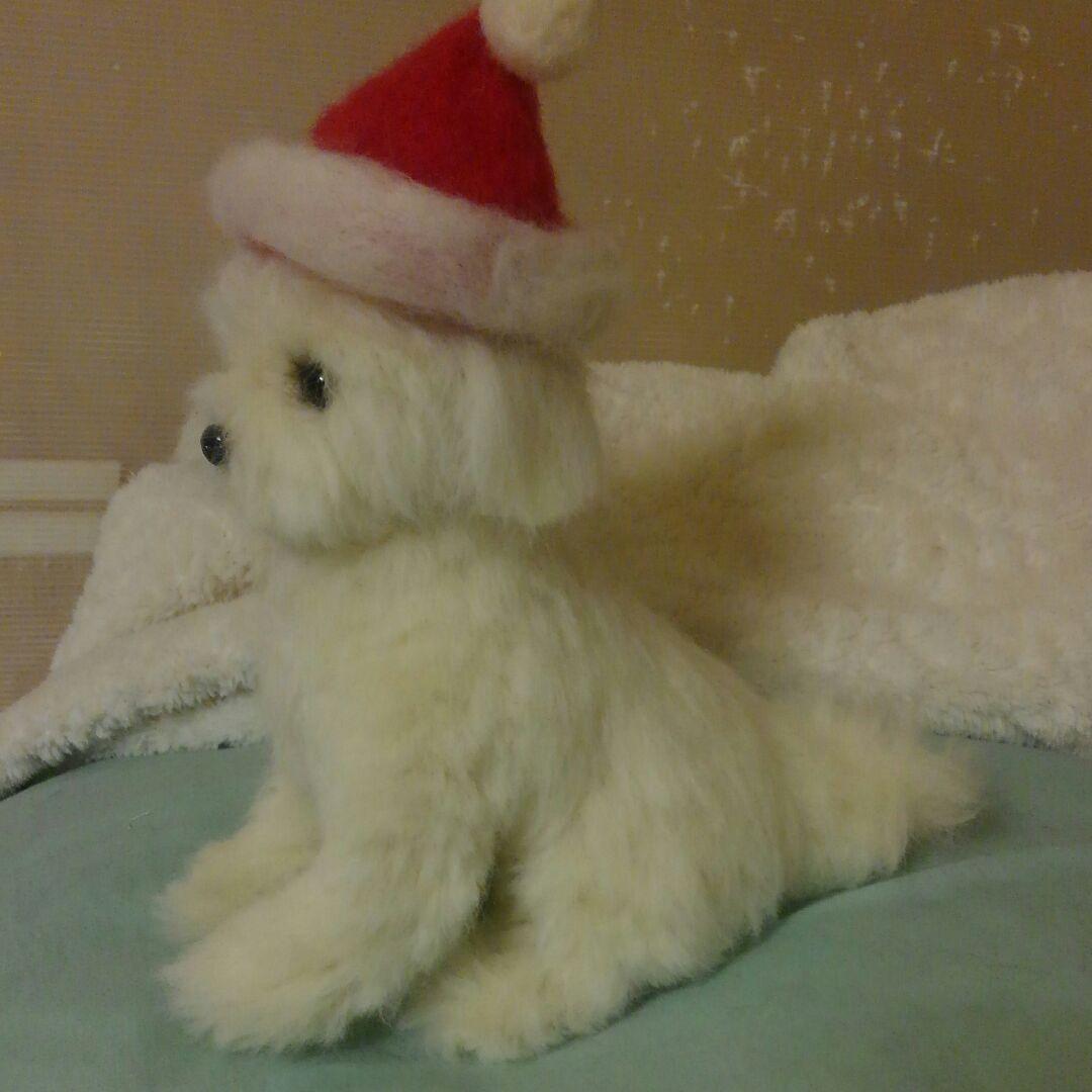 羊毛フェルトマルチーズ参考