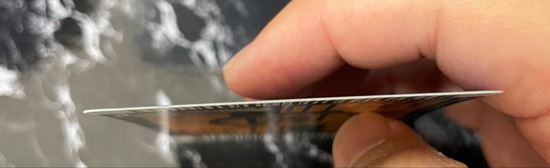 ドラゴンボール データカードダス ゴジータ