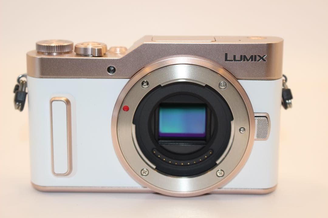 ★ショット数310回新品級★ LUMIX DC-GF10 レンズキット