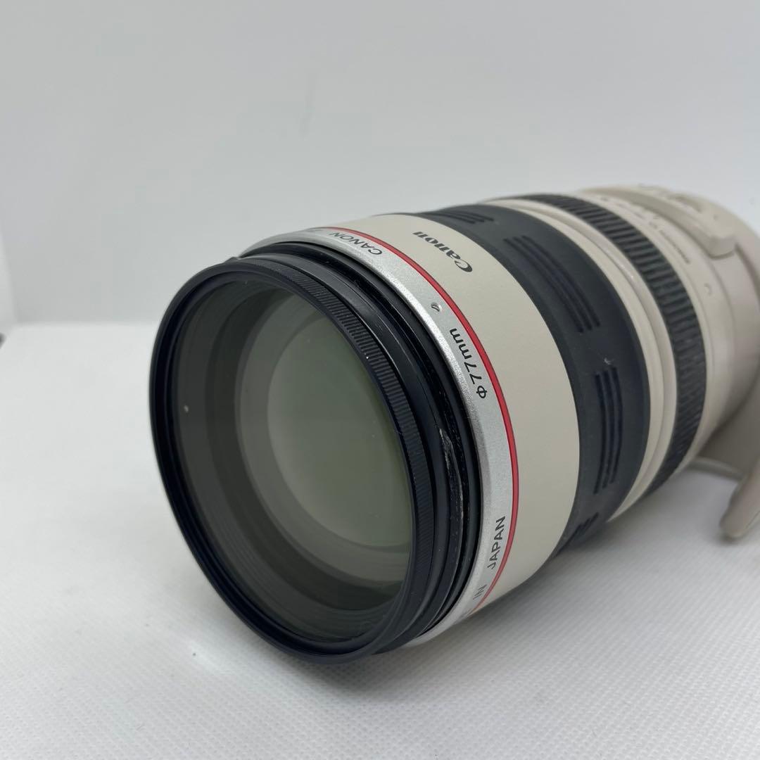 レンズ(ズーム) EF100-400mm F4.5-5.6L IS