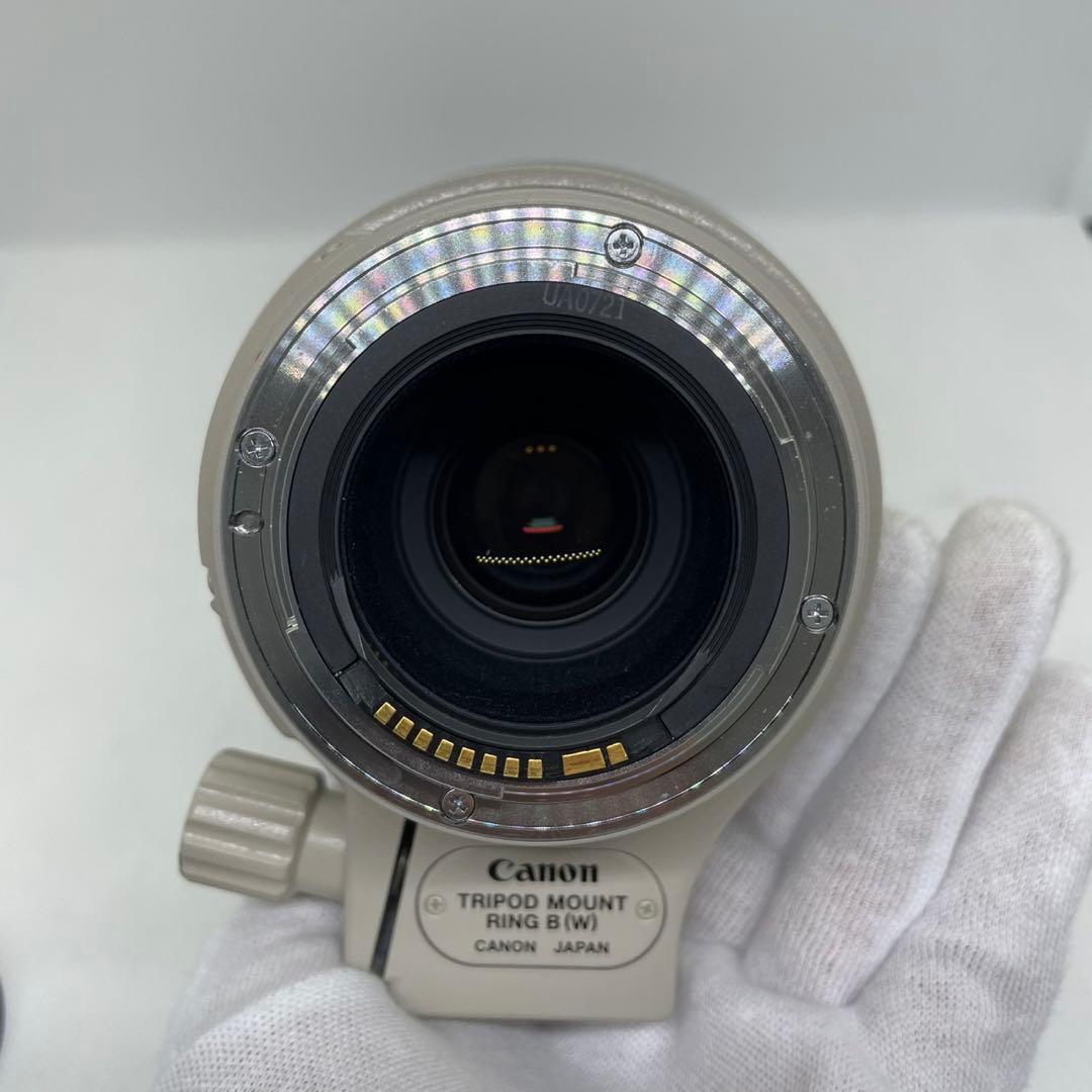 レンズ(ズーム) EF100-400mm F4.5-5.6L IS