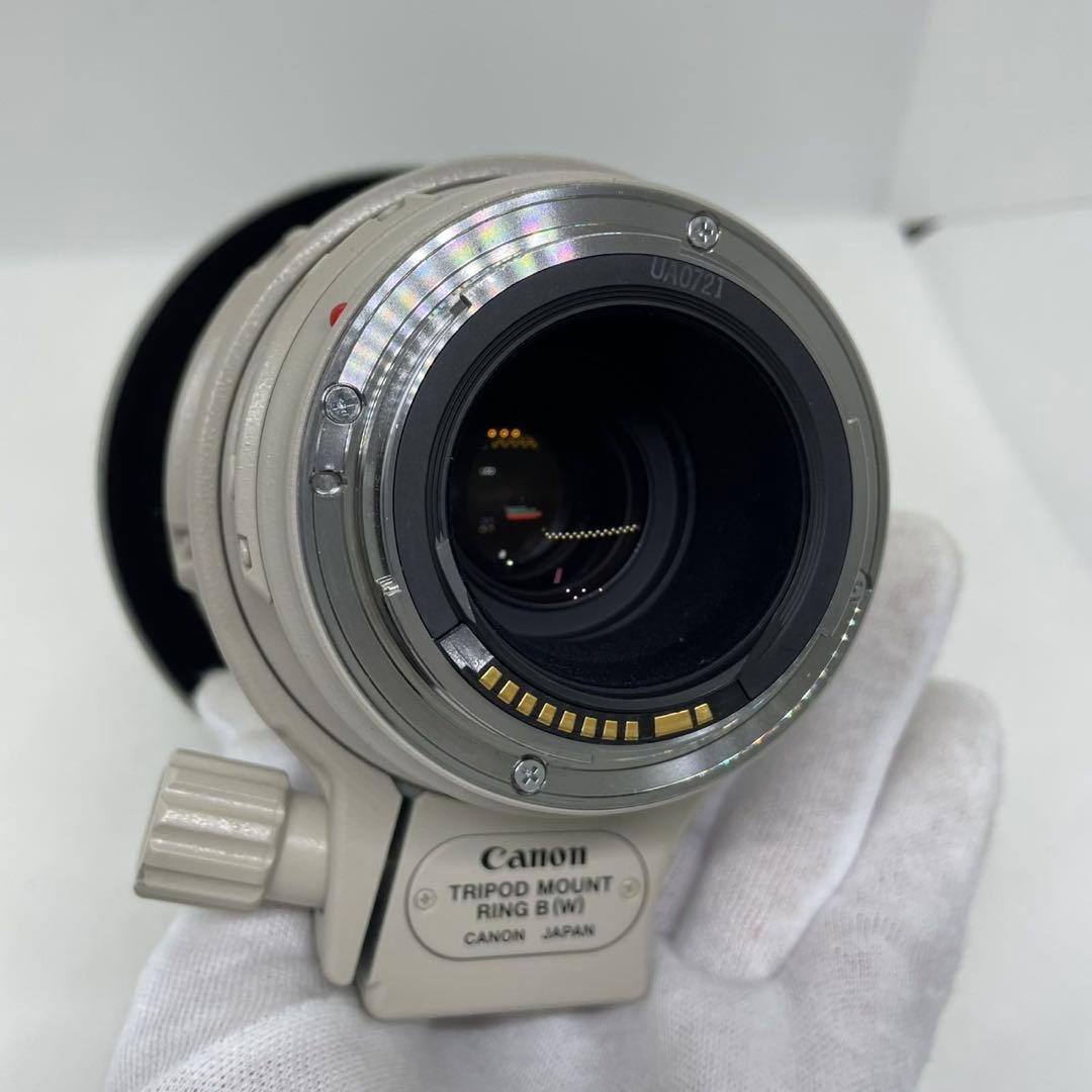 レンズ(ズーム) EF100-400mm F4.5-5.6L IS