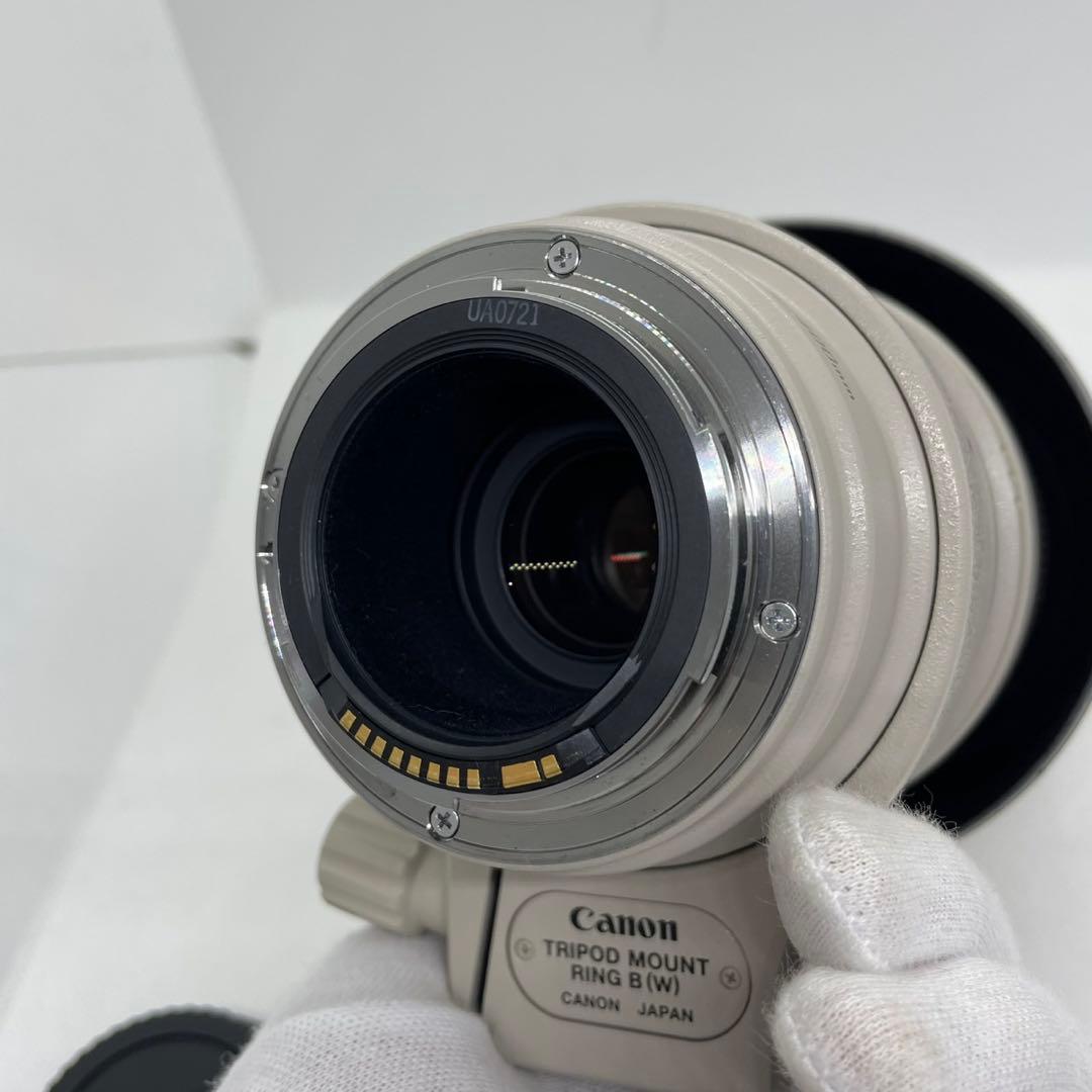 レンズ(ズーム) EF100-400mm F4.5-5.6L IS