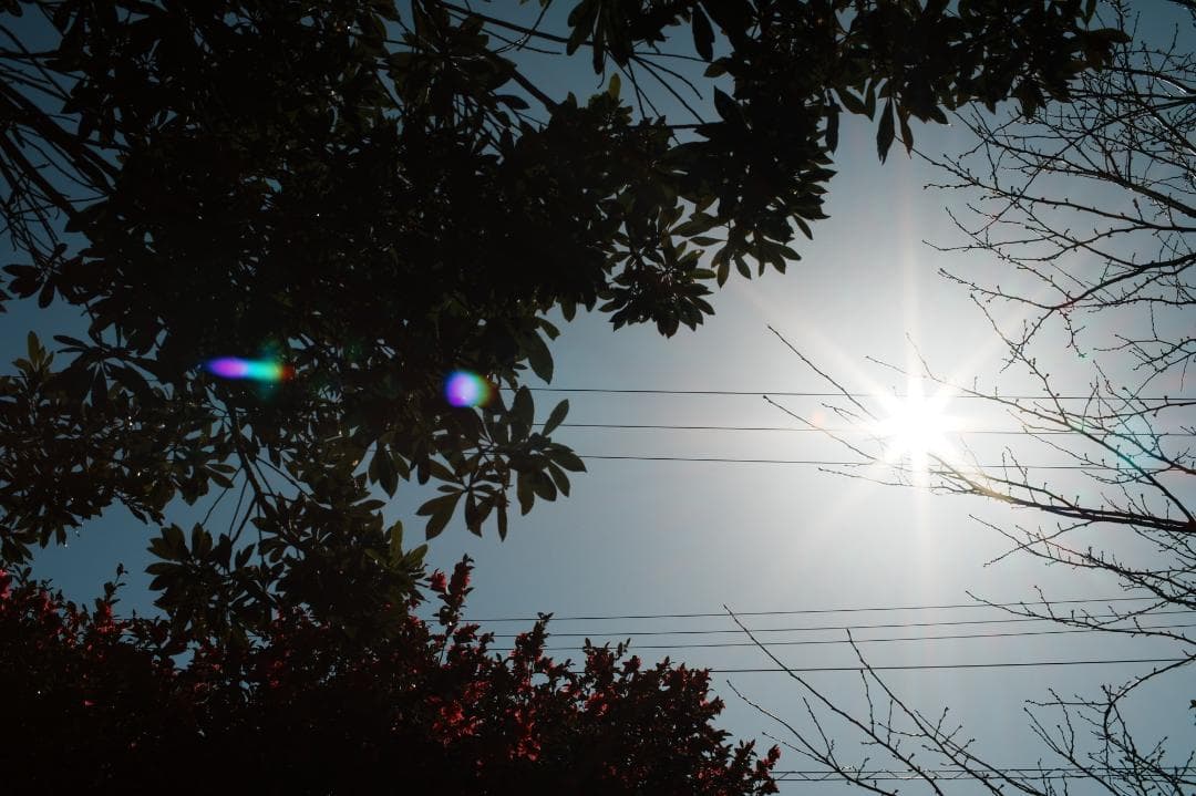 【整備＆テスト済】SMC PENTAX 50mm F1.2 537