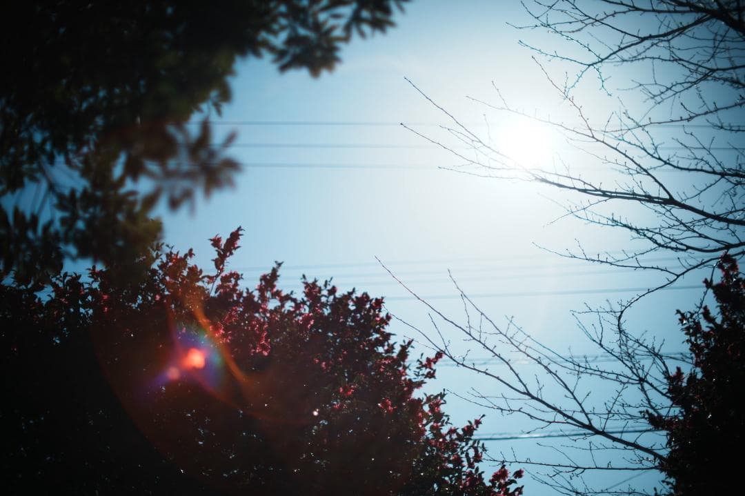 【整備＆テスト済】SMC PENTAX 50mm F1.2 537