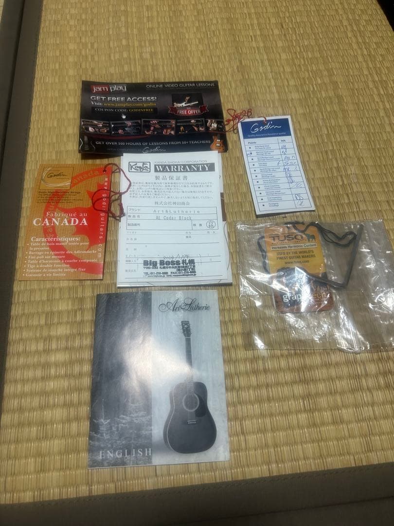 【比較的美品】Godin Art&Lutherie Ceder Black