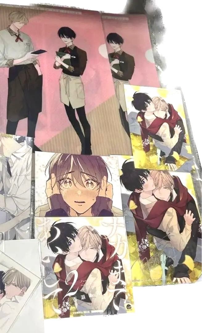 百瀬あん ナカまであいして BL まとめ売り