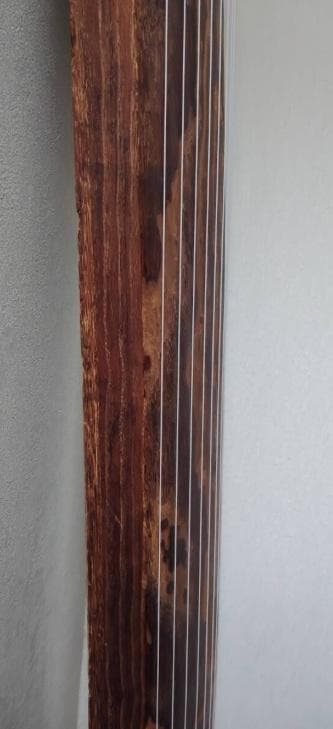 中古 お琴 筝 13絃 １３絃 油単をつけて その４