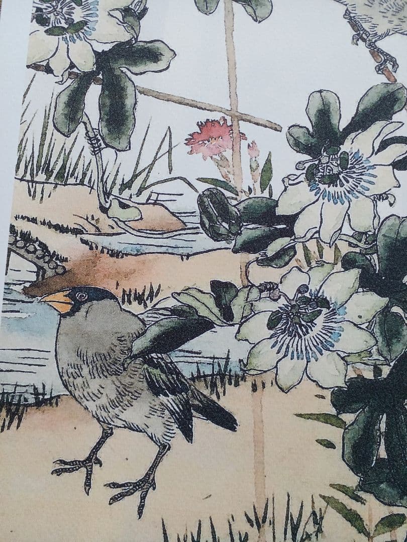 江戸屋版　媒嶺花鳥画譜第1編 27図 手作り古画修復　浮世絵風