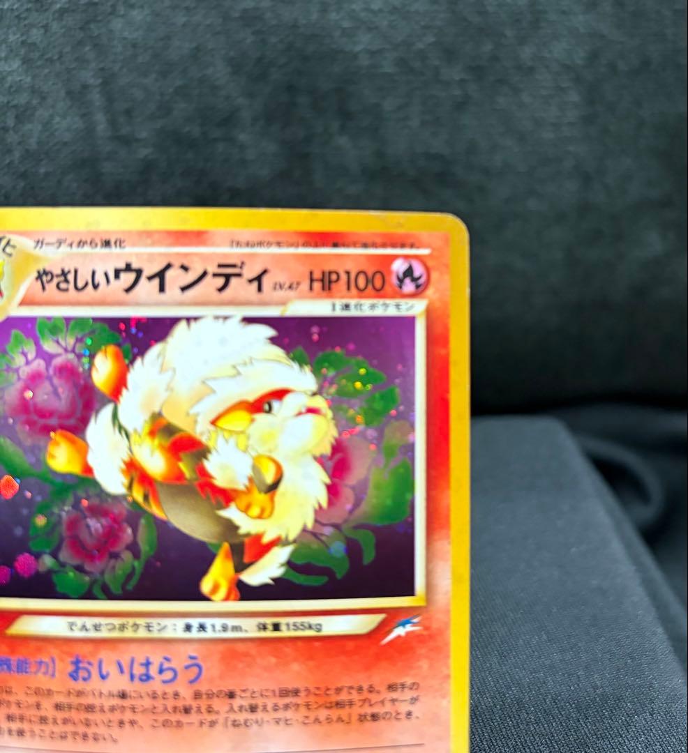 やさしいウインディ 旧裏