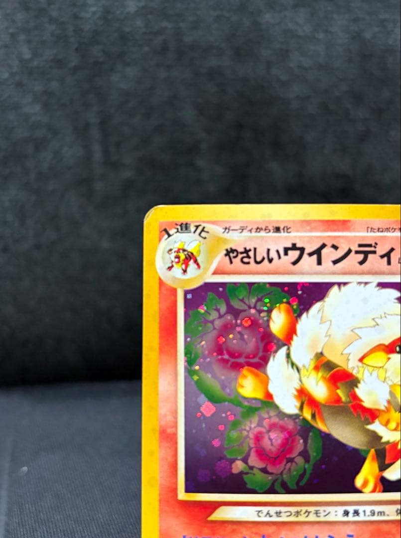 やさしいウインディ 旧裏