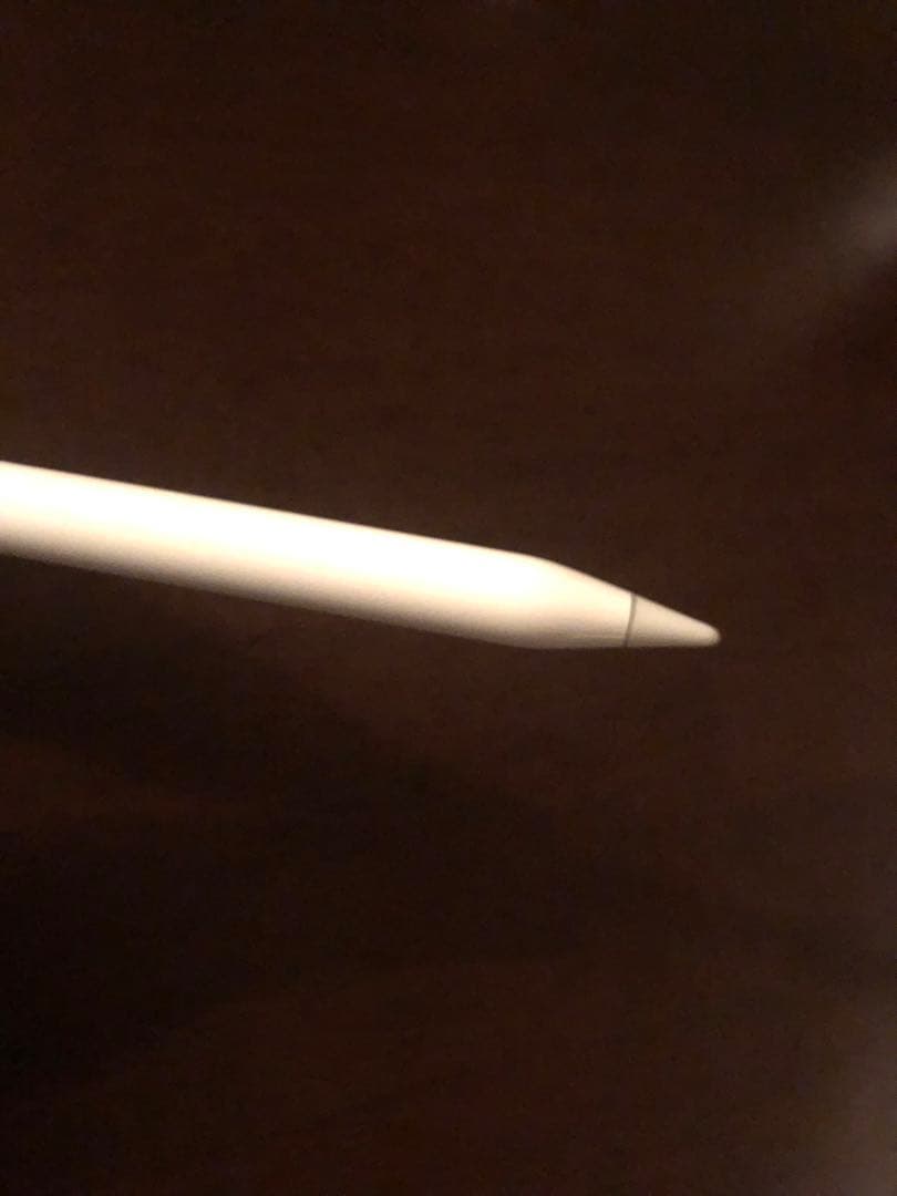 【極美品】Apple Pencil (第1世代)