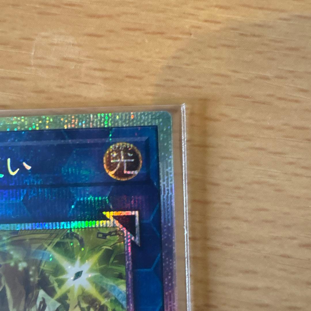 遊戯王　四花繚乱の霊使い 憑依共鳴　プリズマ