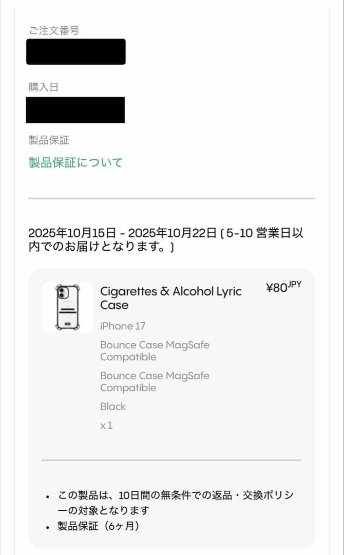 新品未使用 Casetify Oasis iPhone17 バウンスケース