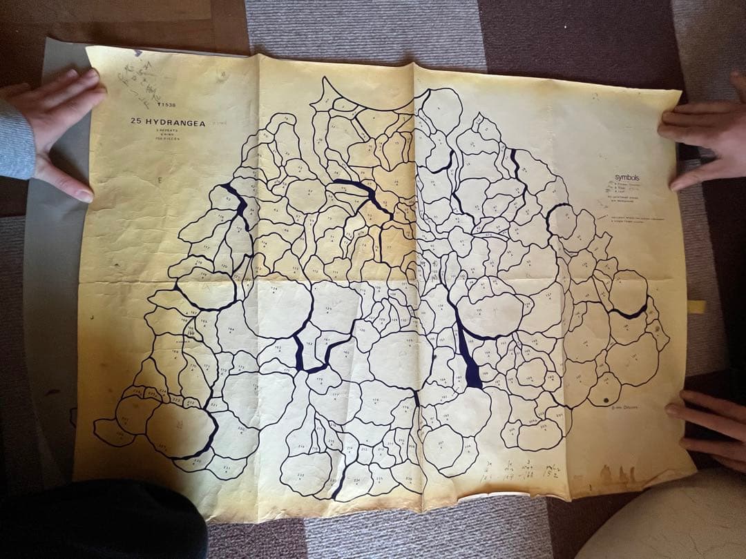 オデッセイ　ハイドランジア　25インチ　モールド