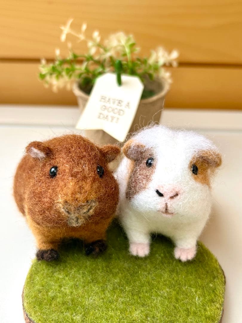 ゆずゆずゆずる♪モルモットちゃん 羊毛フェルト ハンドメイド