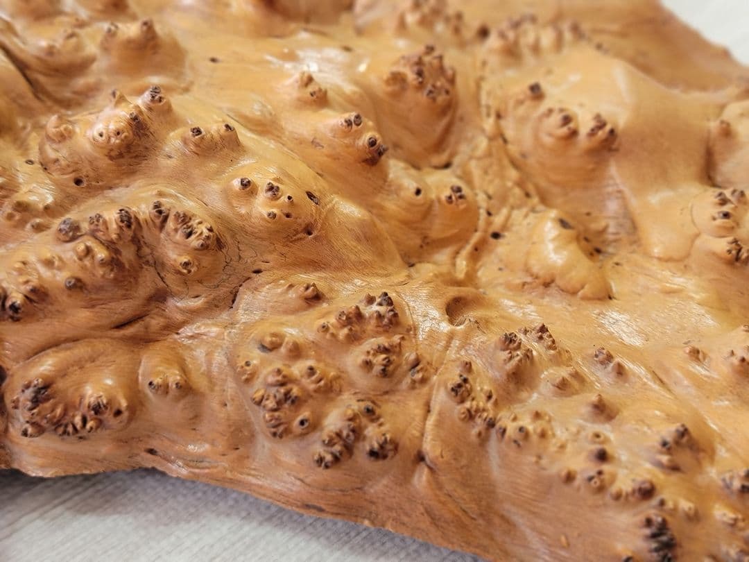 にれの木　こぶ　瘤　　昭和４９年　大型　　北海道札幌市　引き取り大歓迎