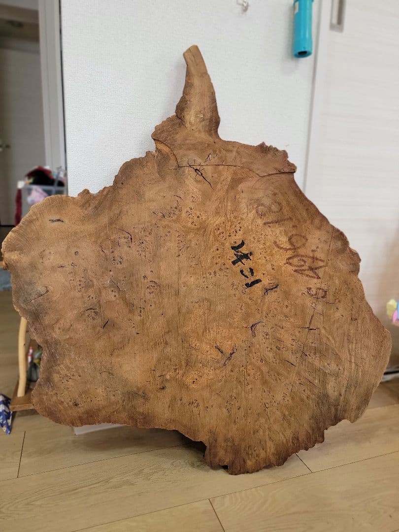 にれの木　こぶ　瘤　　昭和４９年　大型　　北海道札幌市　引き取り大歓迎