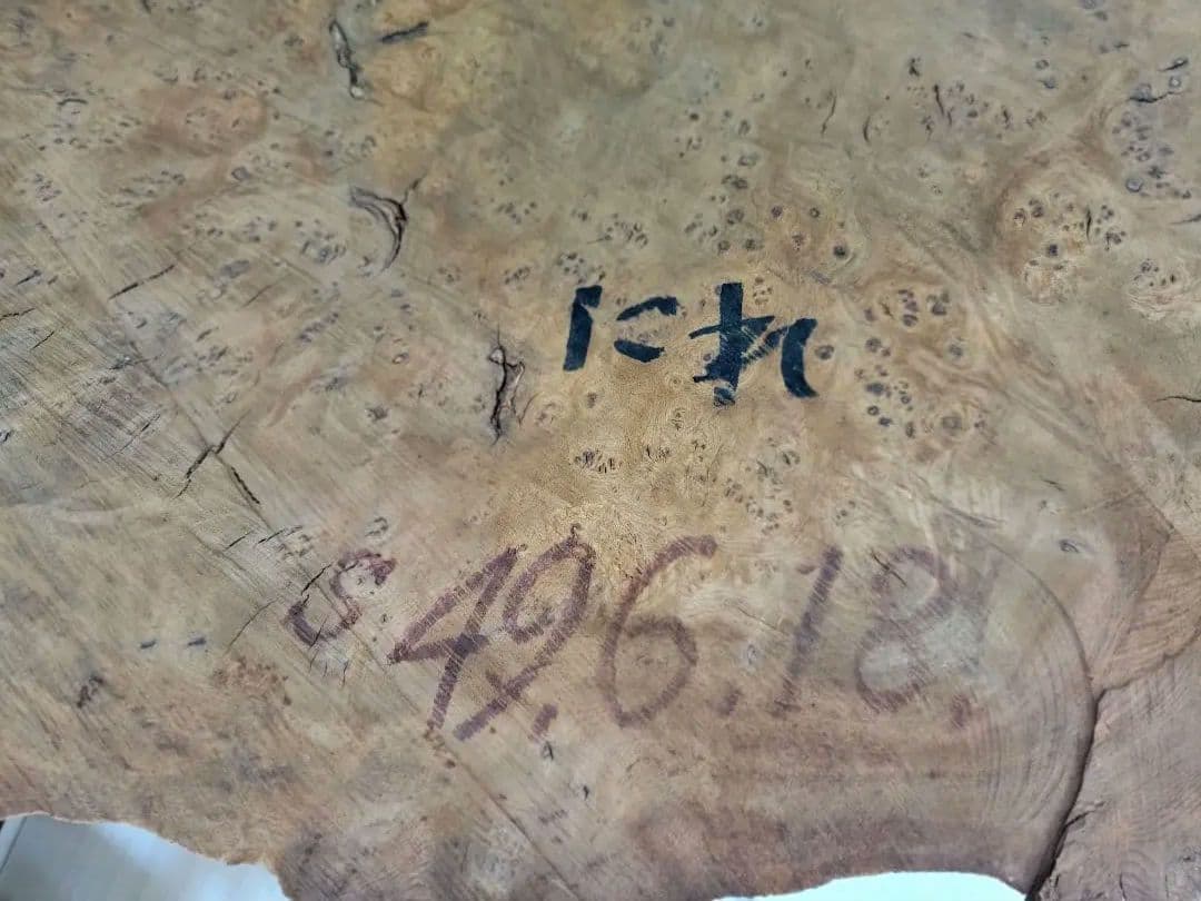 にれの木　こぶ　瘤　　昭和４９年　大型　　北海道札幌市　引き取り大歓迎