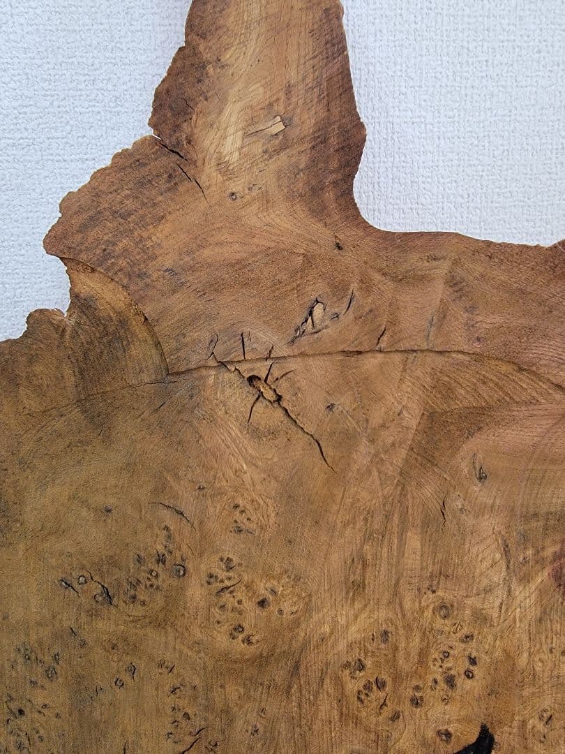 にれの木　こぶ　瘤　　昭和４９年　大型　　北海道札幌市　引き取り大歓迎