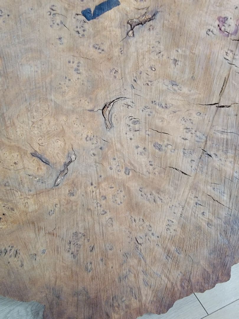 にれの木　こぶ　瘤　　昭和４９年　大型　　北海道札幌市　引き取り大歓迎