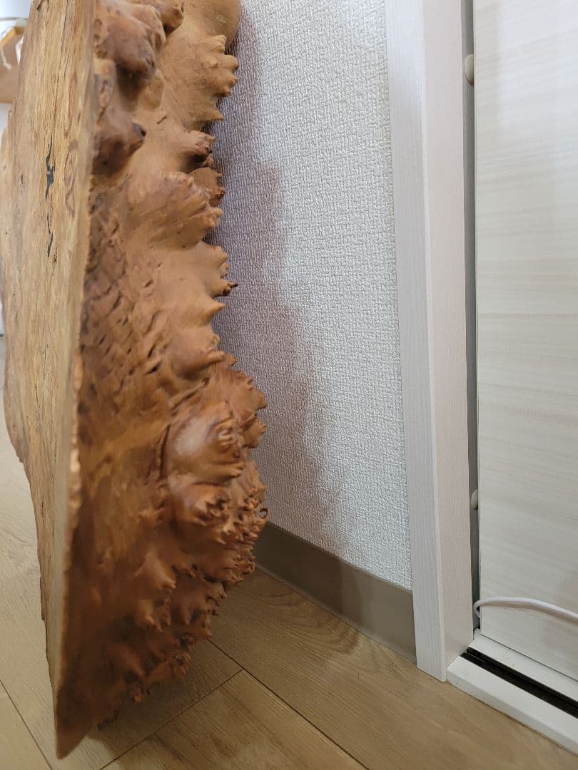 にれの木　こぶ　瘤　　昭和４９年　大型　　北海道札幌市　引き取り大歓迎