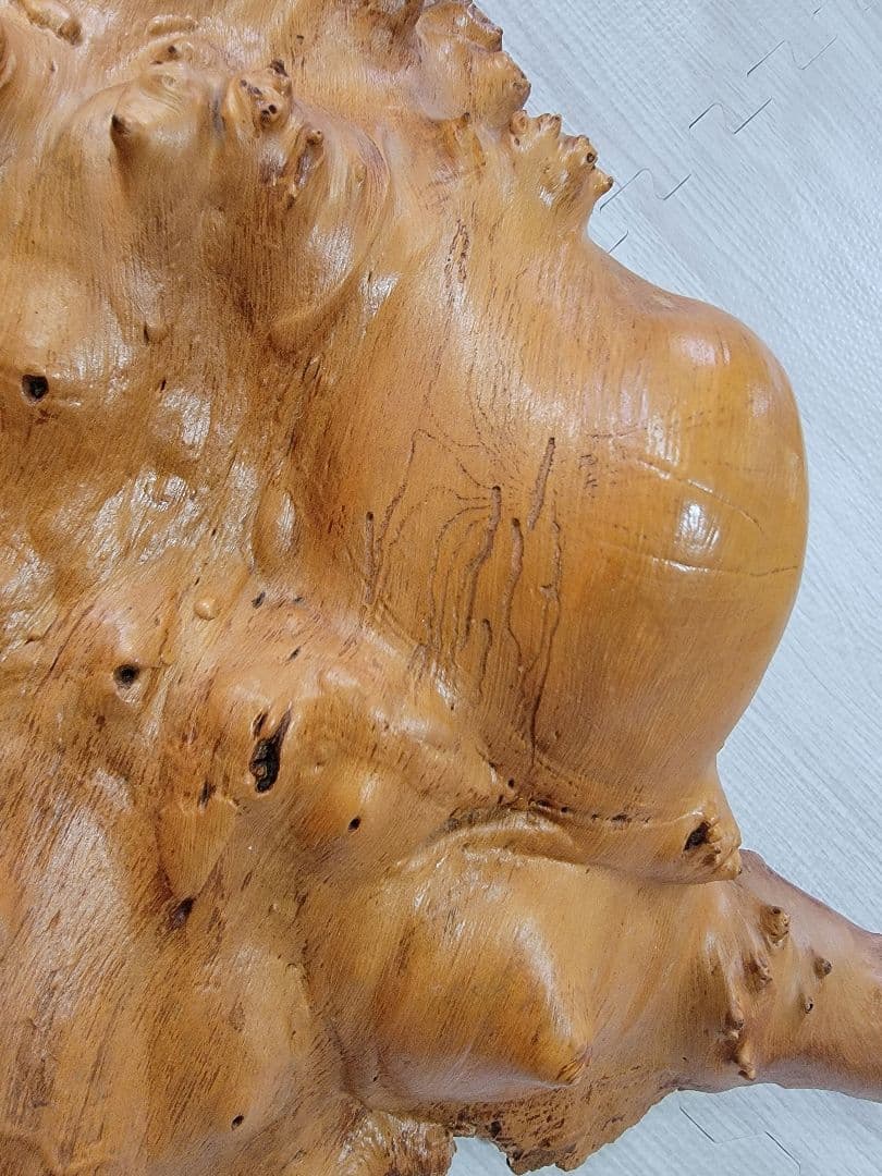 にれの木　こぶ　瘤　　昭和４９年　大型　　北海道札幌市　引き取り大歓迎