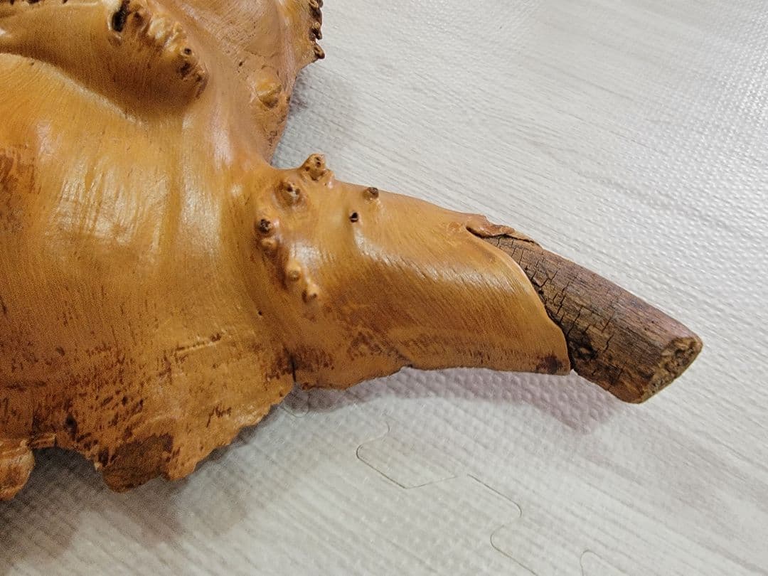 にれの木　こぶ　瘤　　昭和４９年　大型　　北海道札幌市　引き取り大歓迎