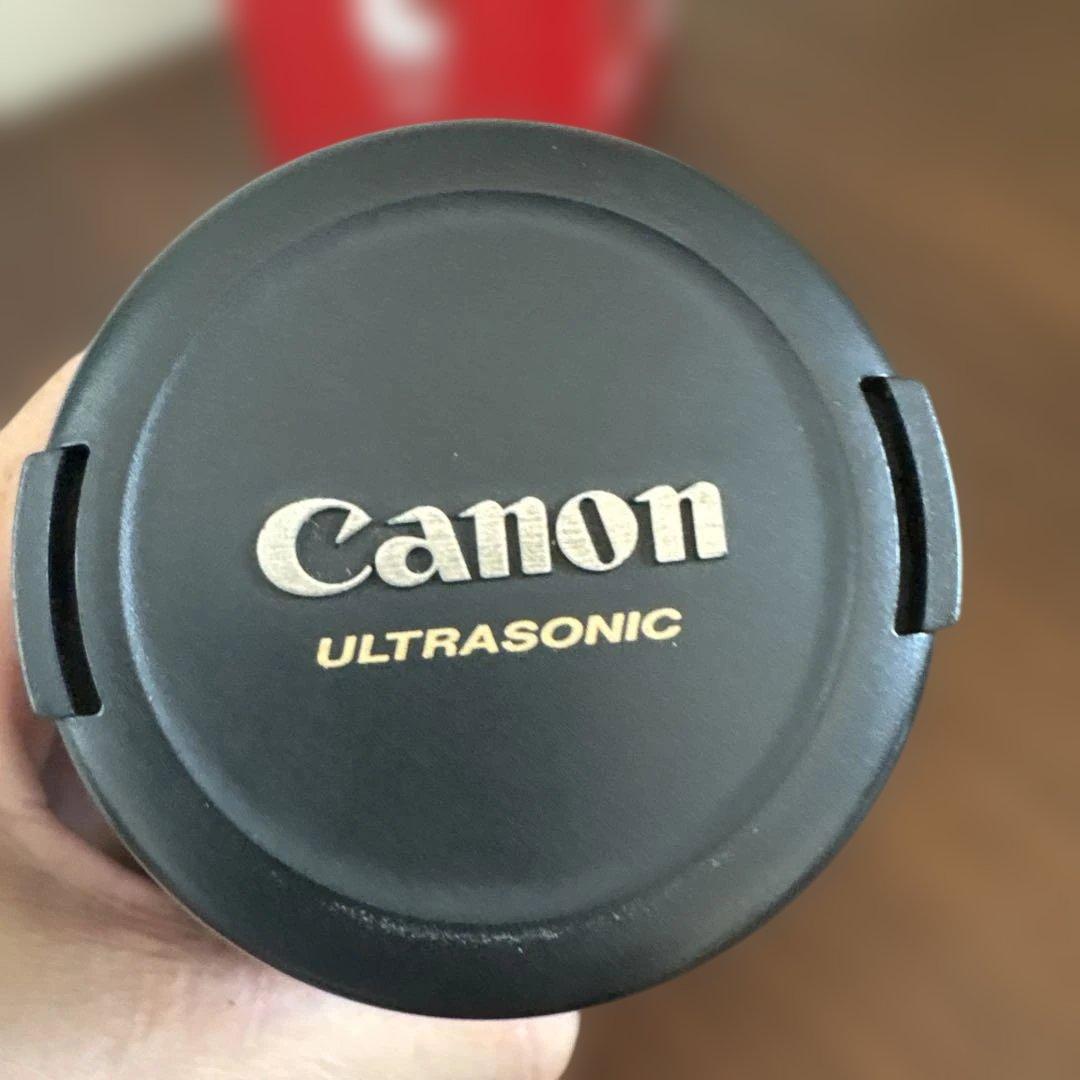 CANON EF 100mm f/2.8 MACRO レンズ