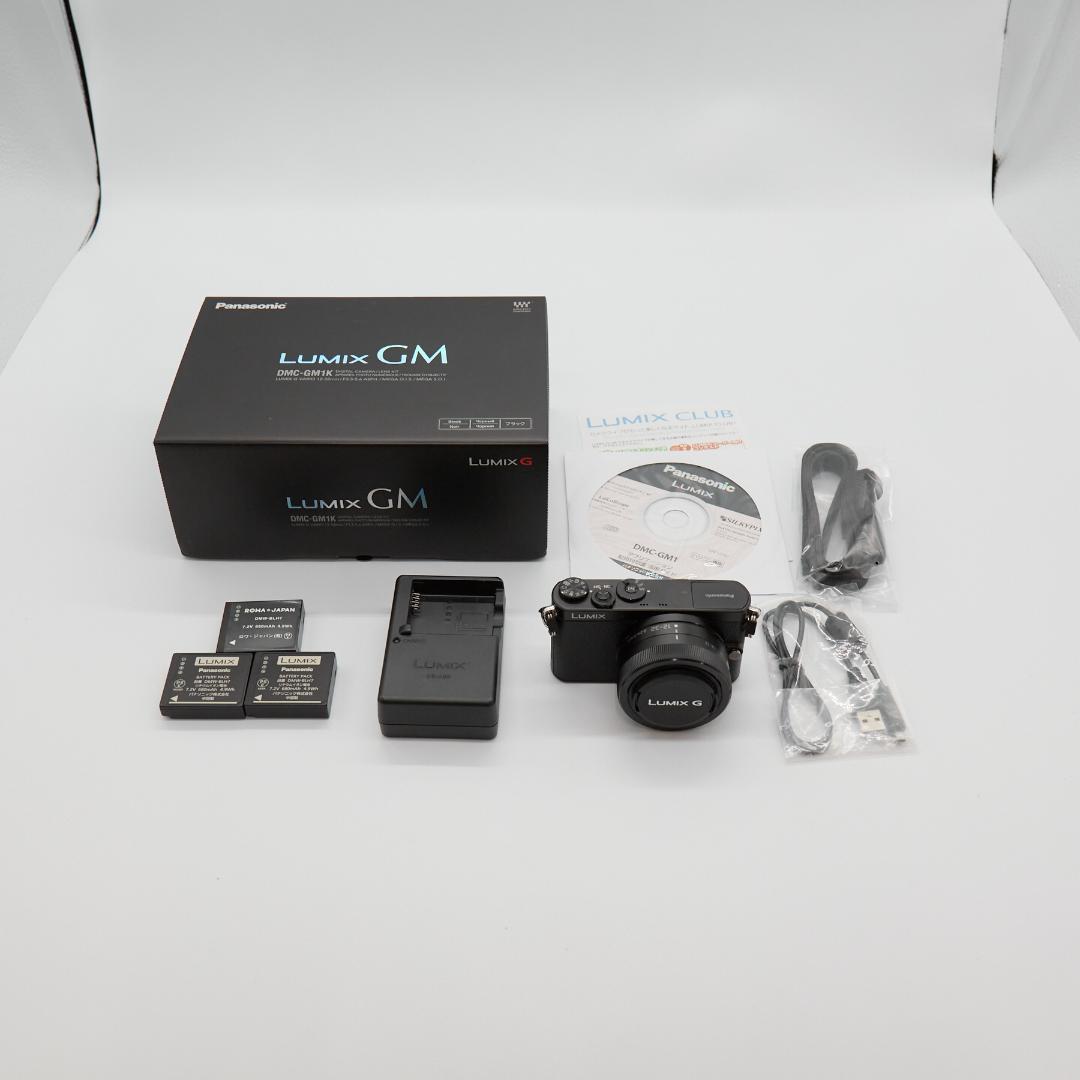 【美品】Panasonic Lumix GM1 BLK と付属品セット