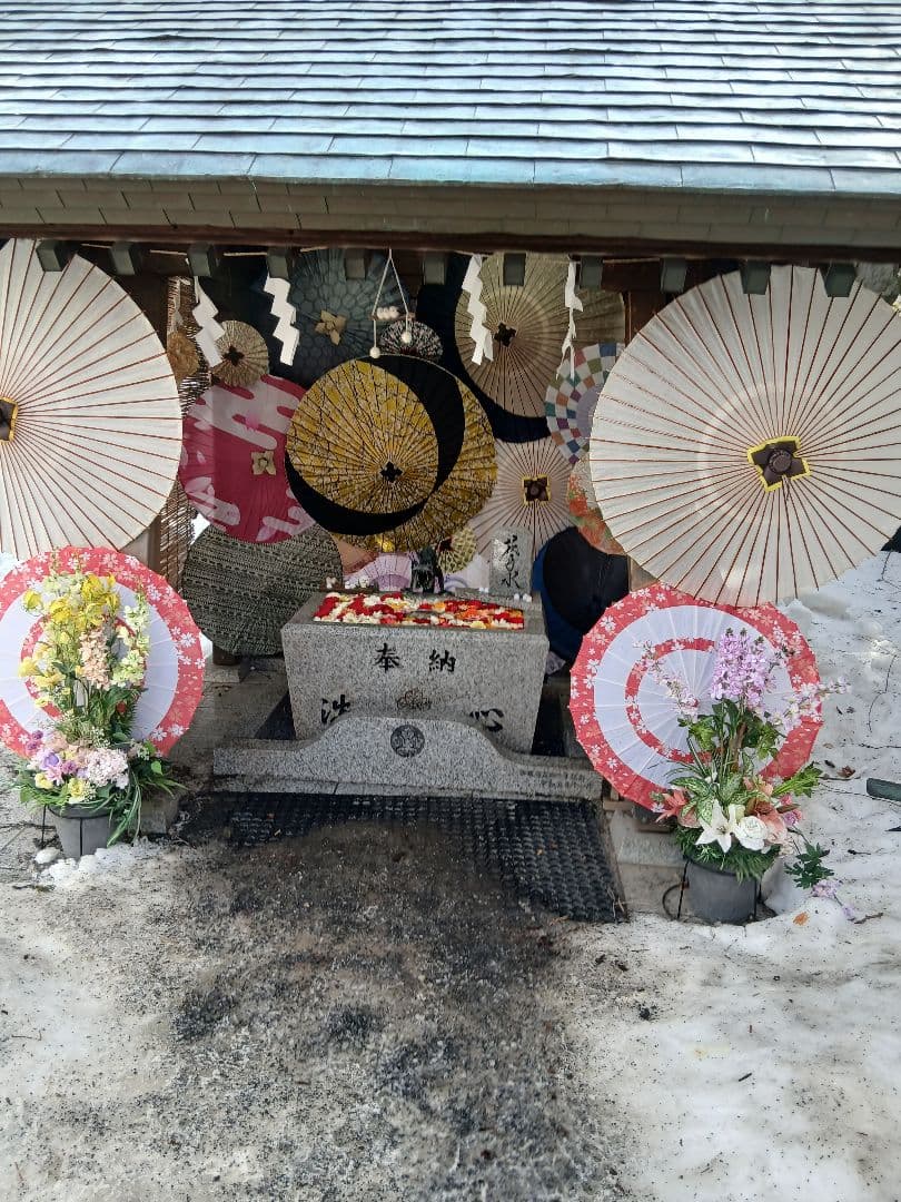 諏訪神社⛩️2026.3月お雛様とお内裏様のみくじセット