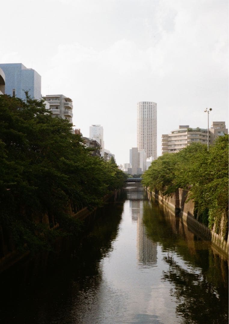 OLYMPUS-PEN EE3 コンパクトフィルムカメラ 美品 作例あり